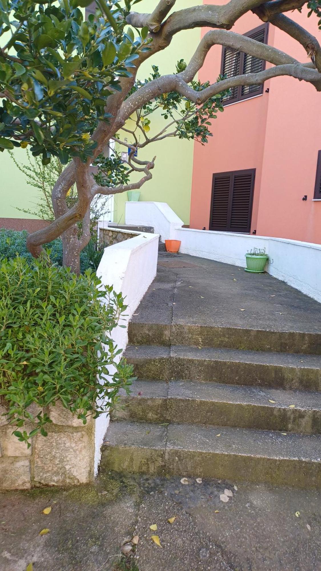 Appartement Dairos2 à Mali Lošinj Extérieur photo